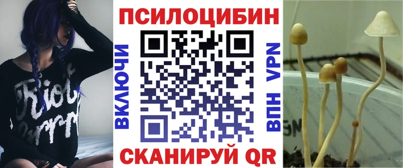 закладки Звенигово Галлюциногенные грибы мицелий
