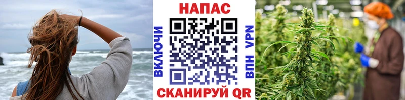 Канабис индика  Звенигово 